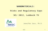 SASS1 NANOMATERIALS: NANOMATERIALS: Risks and Regulatory Gaps SEJ 2012, Lubbock TX Jennifer Sass, Ph.D.