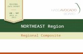 NORTHEAST Region Regional Composite REGIONAL DATA REPORT JAN – SEP 2014 vs. 2013.