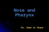 Nose and Pharynx Dr. Sama ul Haque. Objectives   Discuss the anatomical structure of nose.   Define Paranasal sinuses.   Describe the anatomical.