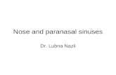 Nose and paranasal sinuses Dr. Lubna Nazli. Objectives External nose Nasal cavity : its boundaries Lateral wall : structure, blood & nerve supply, lymphatic.