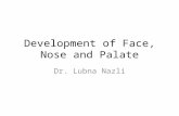 Development of Face, Nose and Palate Dr. Lubna Nazli.