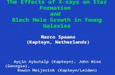 The Effects of X-rays on Star Formation and Black Hole Growth in Young Galaxies Ayçin Aykutalp (Kapteyn), John Wise (Georgia), Rowin Meijerink (Kapteyn/Leiden)