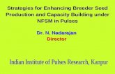 Strategies for Enhancing Breeder Seed Production and Capacity Building under NFSM in Pulses Dr. N. Nadarajan Director.