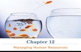 Chapter 12 Managing Human Resources. The Strategic Role of HRM: The Strategic Approach to HRM HR must drive organizational performance; it’s the competitive.