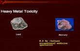 Heavy Metal Toxicity M.D By :Soltani occupational medicine specialist Mercury Lead.