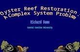 Funded By NATO Oyster reefs are complex ecological systems because they: