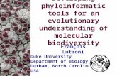 Developing phyloinformatic tools for an evolutionary understanding of molecular biodiversity Fran ç ois Lutzoni Duke University Department of Biology Durham,