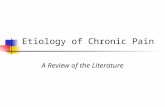 Etiology of Chronic Pain A Review of the Literature.