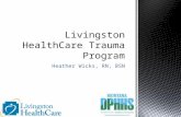 Heather Wicks, RN, BSN. Part I: Program Overview Leaders in trauma program Trauma activation Components of trauma program Part II: Improvement Activities.