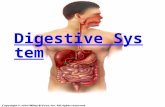 Digestive System Digestive System. INTRODUCTION Overview Gastrointestinal Tract (GI Tract) – from mouth to anus Accessory organs – teeth, tongue, salivary.