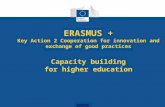 ERASMUS + Key Action 2 Cooperation for innovation and exchange of good practices Capacity building for higher education.