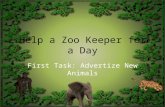 Help a Zoo Keeper for a Day First Task: Advertize New Animals.