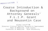 Course Introduction & Background on Attorney Generals’ F.L.I.P. Grant and Neurontin Case Gordon Schiff MD Director Clinical Quality Research & Improvement.