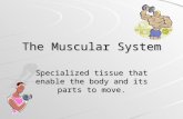 The Muscular System Specialized tissue that enable the body and its parts to move.