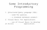 Some Introductory Programming 1. Structured Query Language (SQL) - used for queries. - a standard database product. 2. Visual Basic for Applications -