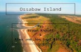 Ossabaw Island By: Bryan Knauff & Alex and Jon Saad-Falcon.