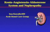Renin-Angiotensin-Aldosterone System and Nephropathy Issa Kawalit,MD Arab Renal Care Group.