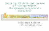 Charting 2D Gels making use of the different Chlamydomonas databases available Christine Markert, Universität Jena.