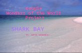 Google Wonders of the World Project SHARK BAY BY: SOFIA HERNANDEZ.