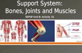 SEPUP Unit B: Activity 16. Functions Skeletal System (aka Bones) SupportMovement Protect internal organs Make blood cells Maintain body’s calcium balance.