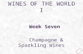 WINES OF THE WORLD I Week Seven Champagne & Sparkling Wines.
