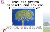 What are growth mindsets and how can they be promoted? Centre for the Use of Research and Evidence in Education (CUREE)