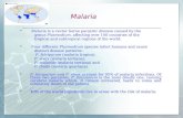 Malaria  Malaria is a vector borne parasitic disease caused by the genus Plasmodium, affecting over 100 countries of the tropical and subtropical regions.