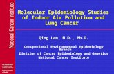 Molecular Epidemiology Studies of Indoor Air Pollution and Lung Cancer Qing Lan, M.D., Ph.D. Occupational Environmental Epidemiology Branch Division of.
