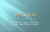By Callie Grey, Kristen Boyle. and Bryan Carter. Another spelling of Pegasus is Pegasos. Strength – can fly Weakness – can be captured and ridden.