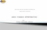 AGRIC FINANCE OPPORTUNITIES BY: SARAH BRAINOO ARHIN 1.