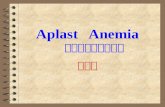 Aplast Anemia （再生障碍性贫血） 陈进伟. 4 Aplastic Anemia ( 再生障碍性贫血） Aplastic Anemia is a pancytopenia （全血 细胞减少 ） syndrome appearing as
