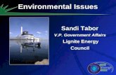 Sandi Tabor V.P. Government Affairs Lignite Energy Council Sandi Tabor V.P. Government Affairs Lignite Energy Council Environmental Issues.