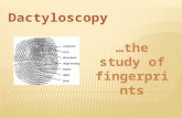 Fingerprints are useful because… they’re unique they’re consistent over a person’s lifetime we have a systematic classification scheme Why do we even.