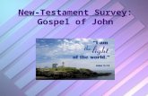 New-Testament Survey: Gospel of John. Gospel of John: Its Author (Mark 4:21,22)John was one of Zebedee’s sons, the brother of James. (Mark 4:21,22) James.