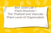 Biol 1030 Lab 7 Plant Diversity I The Thalloid and Vascular Plant Level of Organization.