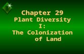Chapter 29 Plant Diversity I: The Colonization of Land.