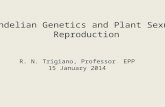 Mendelian Genetics and Plant Sexual Reproduction R. N. Trigiano, Professor EPP 15 January 2014.
