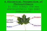 A Historical Perspective of Photosynthesis Is this always the way photosynthesis has been understood?