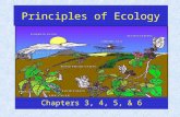 Principles of Ecology Chapters 3, 4, 5, & 6. What is Ecology? Ecology is the study of interactions between organisms and their environment.