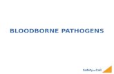 Safety on Call BLOODBORNE PATHOGENS. Safety on Call WHAT ARE BLOODBORNE PATHOGENS Bloodborne pathogens are microorganisms such as viruses or bacteria