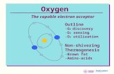Outline -O 2 discovery -O 2 sensing -O 2 utilization Non-shivering Thermogenesis -Brown fat -Amino-acids Oxygen The capable electron acceptor.