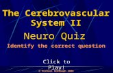 Click to Play! Neuro Quiz  Michael McKeough 2008 Identify the correct question The Cerebrovascular System II.