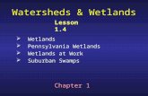 Watersheds & Wetlands  Wetlands  Pennsylvania Wetlands  Wetlands at Work  Suburban Swamps Chapter 1 Lesson 1.4.