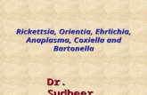 Rickettsia, Orientia, Ehrlichia, Anaplasma, Coxiella and Bartonella Dr. Sudheer Kher.