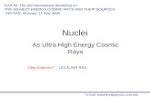 Nuclei As Ultra High Energy Cosmic Rays Oleg Kalashev* UCLA, INR RAS GZK 40: The 3rd International Workshop on THE HIGHEST ENERGY COSMIC RAYS AND THEIR.