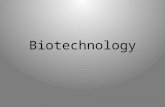 Biotechnology. The manipulation of organisms or their genes for – Basic biological research – Medical diagnostics – Medical treatment (gene therapy) –