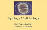 Cytology / Cell Biology Cell Reproduction Mitosis & Meiosis