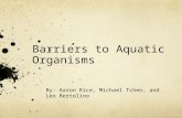 Barriers to Aquatic Organisms By: Aaron Rice, Michael Tchen, and Leo Bertolino.