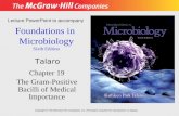 Foundations in Microbiology Sixth Edition Chapter 19 The Gram-Positive Bacilli of Medical Importance Lecture PowerPoint to accompany Talaro Copyright ©