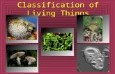 Classification of Living Things. Definitions 1.Taxonomy – the science of classifying organisms based on biological similarities 2.Carolus Linnaeus – the.